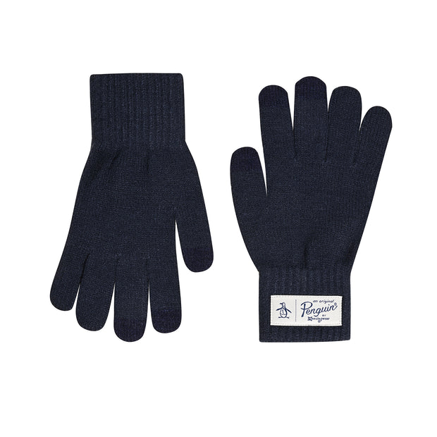Nathan Classic Knit Glove In Black In True Blue